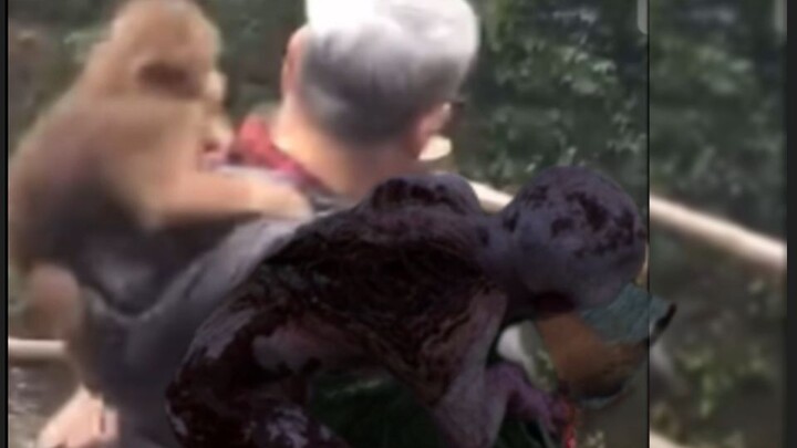 Setelah terlalu sering main Dead by Daylight, semua yang dilihat pun terasa seperti Dead by Daylight