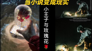 【การถ่ายภาพสร้างสรรค์】เมื่อนิยายกลายเป็นความจริง เจ้าชายน้อยกับดอกกุหลาบของเขามาแล้ว