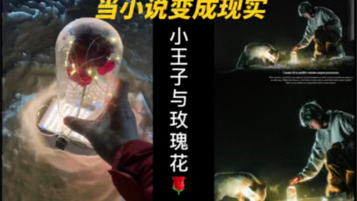 [Creative Photography] When Fiction Becomes Reality: The Little Prince and His Rose