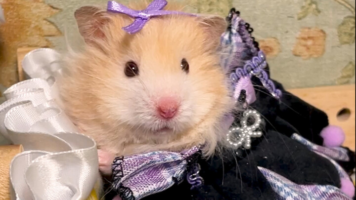 Giao cấu với người khác tộc, đây là tội chết!