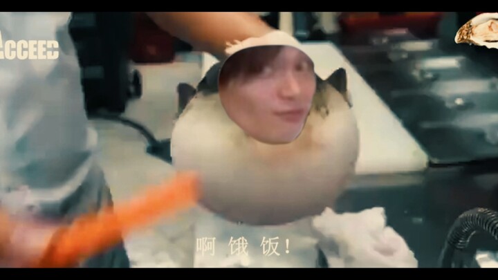 Ikan fugu Tokugawa enggak mau makan stik sayur