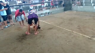 red vs black