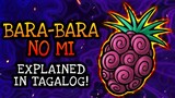 BARA BARA NO MI Explained In Tagalog! | One Piece