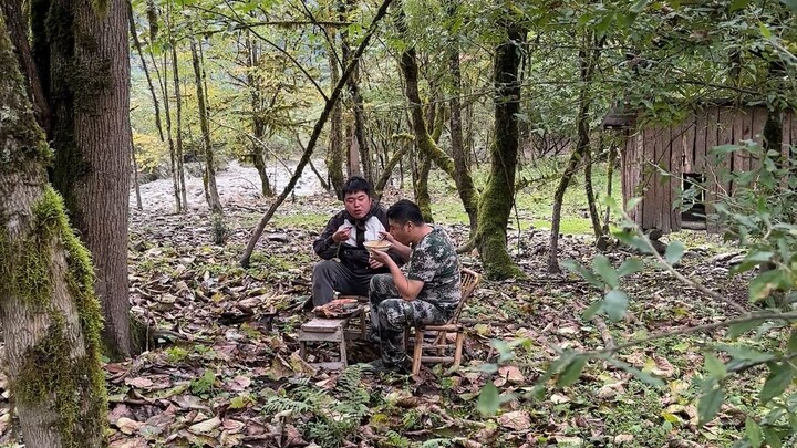 Tôi hái những quả cà chua đủ kích cỡ từ ruộng và nấu một nồi "Thịt bò hầm cà chua" đích thực. Các an