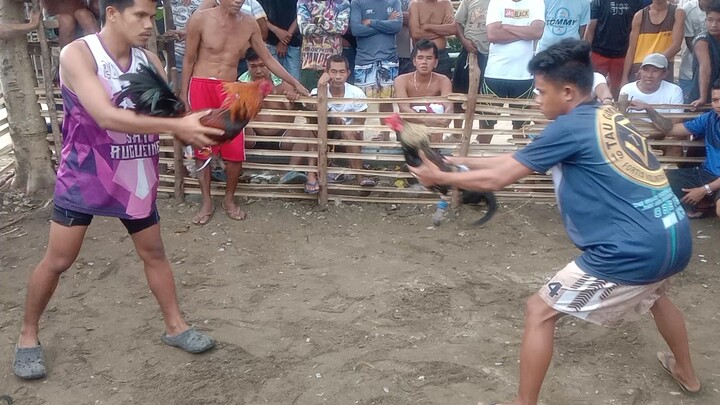 SpongeBob..ni kompare