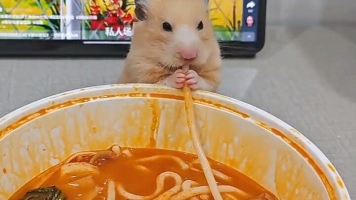 What foods can rats safely share with their owners?