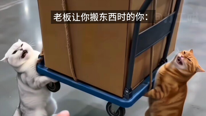 คุณในตอนที่เจ้านายขอให้ช่วยยกของ