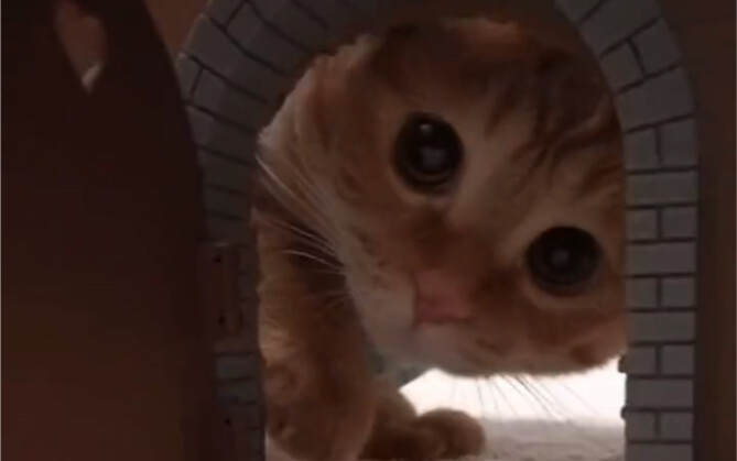 ปรากฎว่าการเป็นหนูนั้นน่าตื่นเต้นมาก (2)