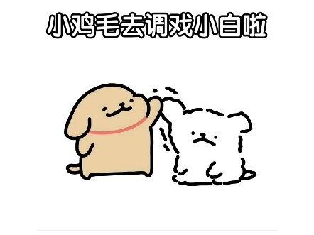 小鸡毛胆子真是越来越大啦～