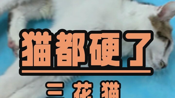 هل هو قاسٍ إلى هذا الحد؟!