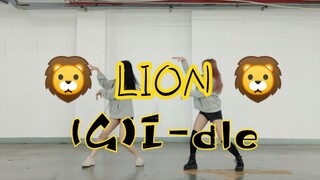 【萝卜糖】Lion 速翻（Queendom.Ver）