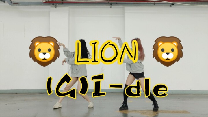 【萝卜糖】Lion 速翻（Queendom.Ver）