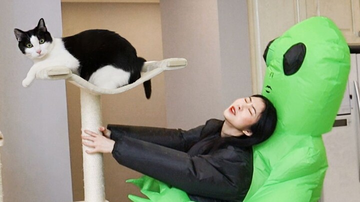 铲屎官假装被外星人抓走，猫会来救主人吗？结局泪目！【花花与三猫】