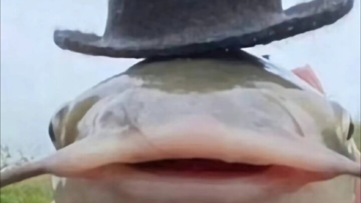 ลีกออฟเลเจ็นดส์: "ลองอีกครั้ง ผลลัพธ์จะเปลี่ยนไปหรือไม่?"