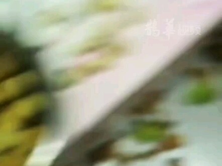 A woman bought 3 jin of fresh hazelnuts, planning to shell them all at once and enjoy them slowly, b