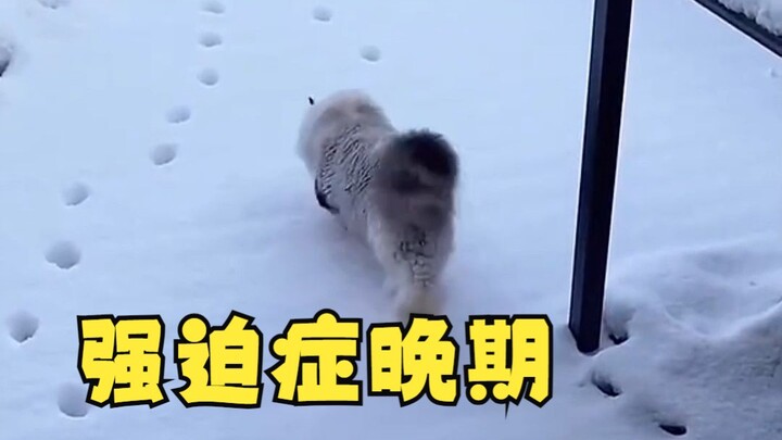 The cat strolls with little sassy steps while muttering under its breath~~