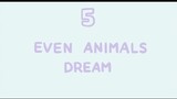 5 Even Animals Dream