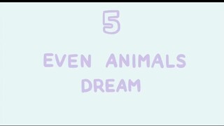 5 Even Animals Dream