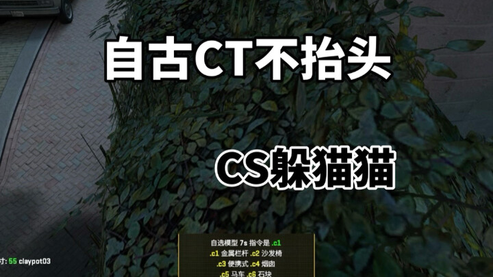 CS2 Hide and Seek: Really won’t look up