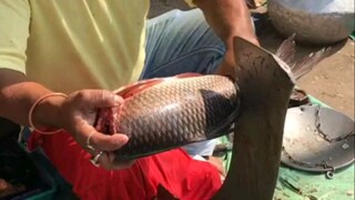 اشتريت سمكة لأكلها اليوم. لا أستطيع أكل السمك نيئًا، لذا لن أريه.