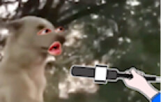 Stay humble, stay humble