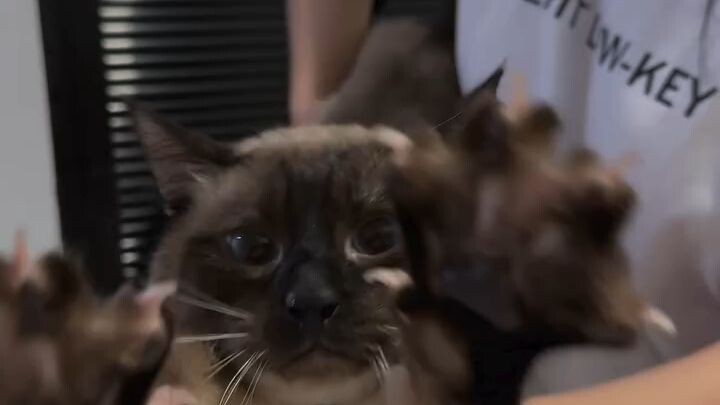 let join 12.00-02.00pm