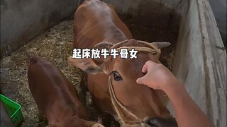 今天是棒打鸳鸯的坏人......