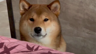 ลูกชายตัวโตของแม่ (มีอะไรกันแน่เนี่ย)