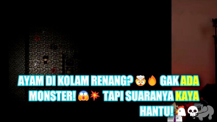 Ternyata Ayam di Kolam Renang Bukan Monster, Tapi Cuma Kebiasaan Lucu