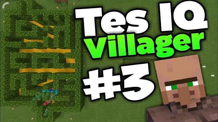 Tes IQ Villager | Labirin level #3