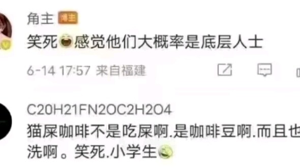 Real Kopi Luwak Coffee