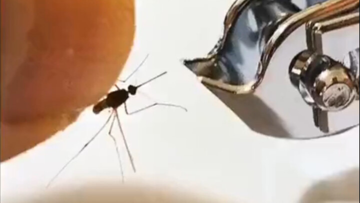 Menyita alat kejahatan