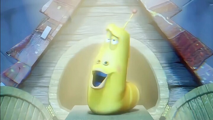 ظهر أن هذين الحشرتين كانا مفعماً بالقدر منذ ولادتهما