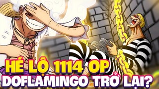 HÉ LỘ MỚI 1114 OP | DOFLAMINGO QUAY TRỞ LẠI?