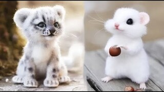 AWW SO CUTE! Cutest baby animals Videos Compilation Cute moment of the Animals - Cutest Animals #5