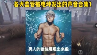 各大监管被电机的声音