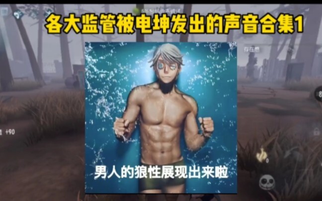 各大监管被电机的声音