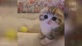 นอนไปเต้นไปมีใครเหมือนเราไหม