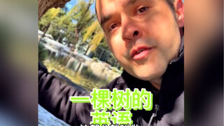 Do you know all the English words related to a tree? Watch this video carefully and you will learn a