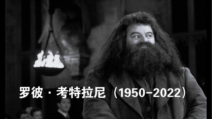 海格的扮演者去世。