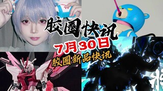 【7月30日胶圈快讯】