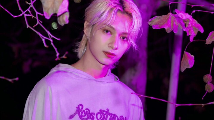 【seventeen】ความรู้สึกที่ถูกคนสิบสองคนเอาใจนี่มันดีจริงๆ❤❤ใครบ้างจะไม่ใช่แมวน้อยที่ได้รับการปรนเปรอล่