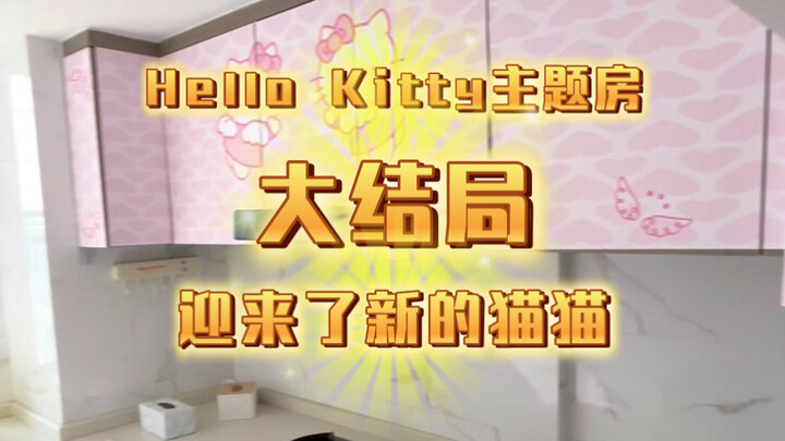 Kamar bertema Hello Kitty akhirnya menyambut kucing baru, semoga mereka menikmati kehidupan yang bah