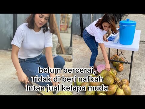 Belum cerai , maell lee tidak menafkahi lagi , intan jualan kelapa muda