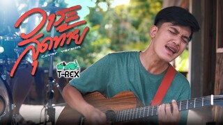วาระสุดท้าย - มอส กาฬสินธุ์「 T-REX Cover 」