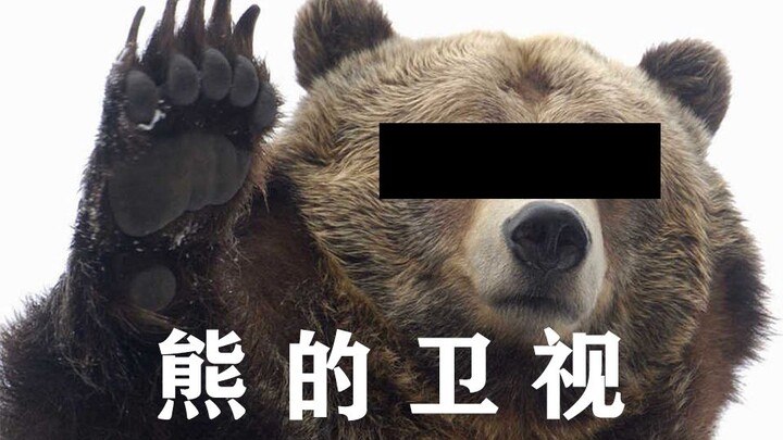 [Bear Mashup] Welcome to Bear TV!