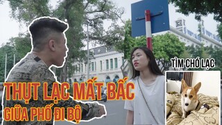 BỊ TRỘM CHÓ GIỮA PHỐ ĐI BỘ | THỤT TV ĐÒI LỤC TUNG HÀ NỘI