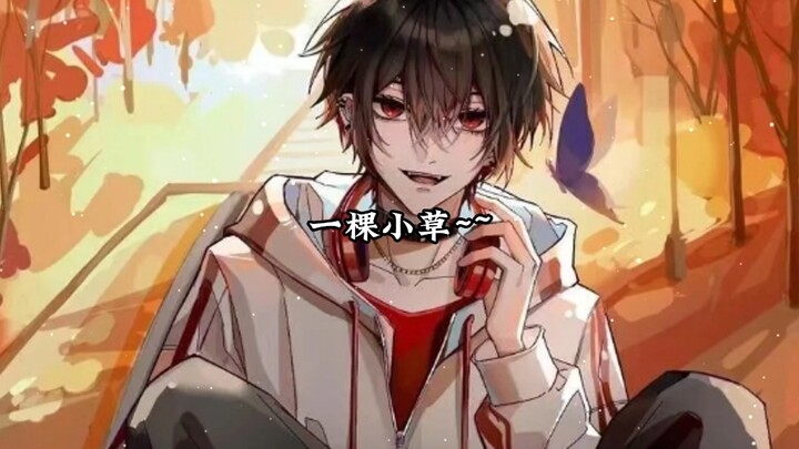 ในทีมไป๋ลิ่วสมาชิกทุกคนเป็นฝ่ายรุก ส่วนในทีมไป๋หลิวสมาชิกทุกคนเป็นฝ่ายรับ ขอให้ไป๋หลิวรีเฟล็กต์ตัวเอ