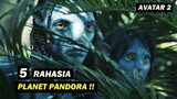Mengungkap 5 Rahasia Planet Pandora Avatar : The Way Of Water !!