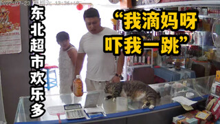 当老板在超市养猫，每天不同顾客反应太搞笑，猫:我就是被你们气胖的